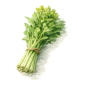 かき菜