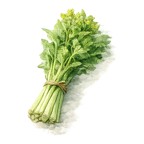 かき菜