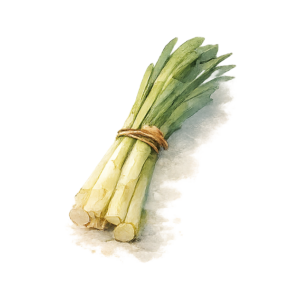 ねぎ